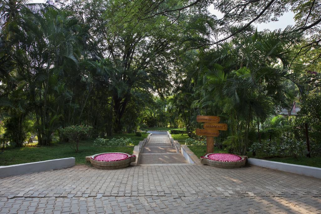 The Windflower Resort & Spa, Майсур Экстерьер фото